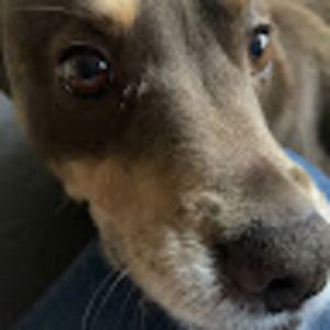 Meet your Posher, Tori